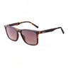 Guess Brown Resin Sunglasses Guess