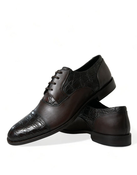 Dolce & Gabbana Brown Exotic Leather Formal Men Dress Shoes Dolce & Gabbana