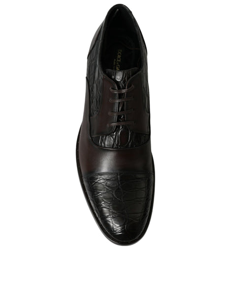 Dolce & Gabbana Brown Exotic Leather Formal Men Dress Shoes Dolce & Gabbana