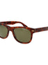 Serengeti Brown Plastic Sunglasses Serengeti