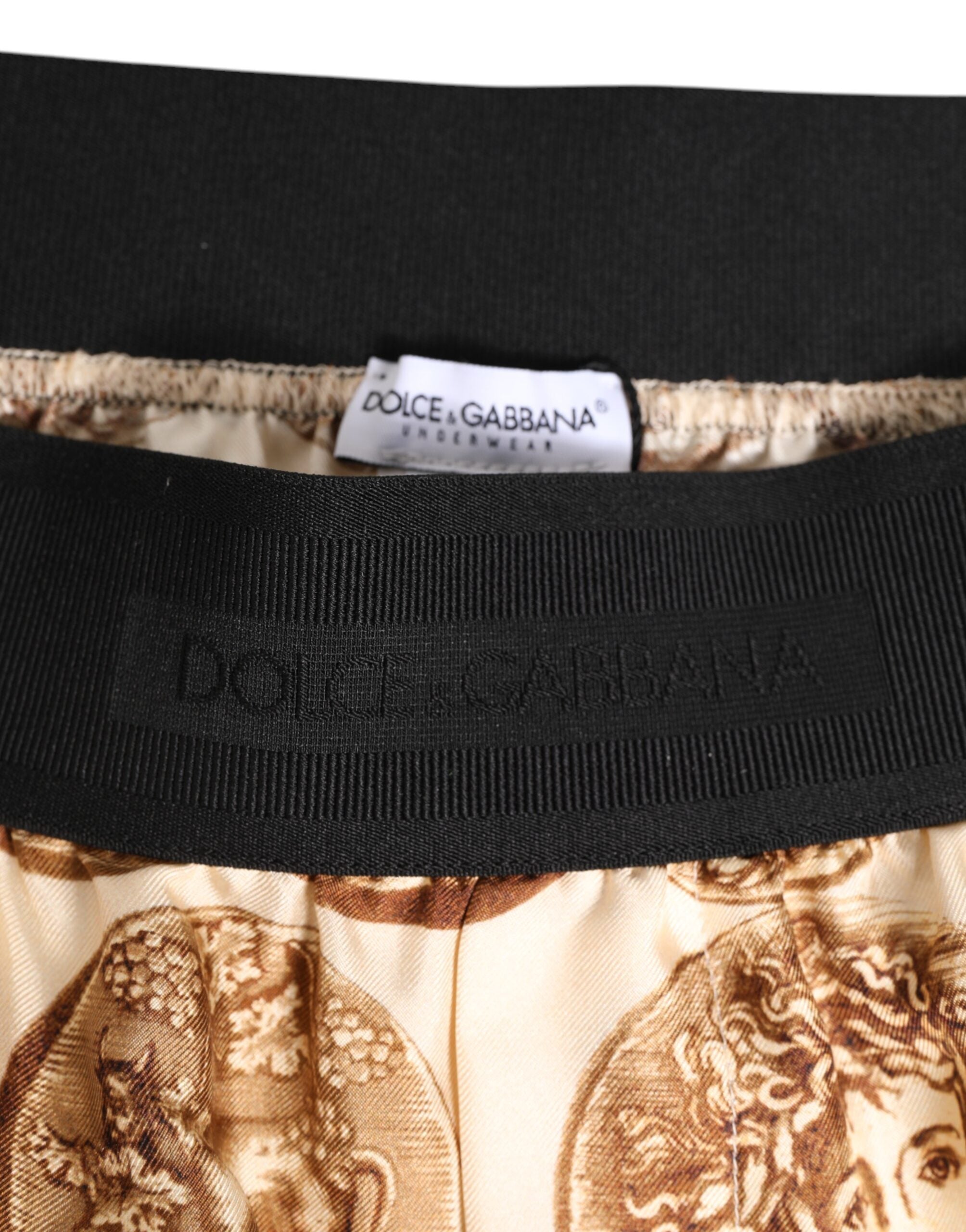 Dolce & Gabbana Brown Ancient Coin Print Silk Shorts Swimwear Dolce & Gabbana