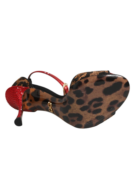 Dolce & Gabbana Brown Leopard Crystal Roses Sandals Shoes Dolce & Gabbana